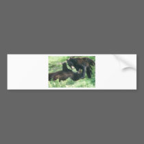 Bears at play bumper stickers