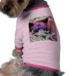 Bears Ferns pet clothing