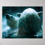 Bears In The Arctic Night posters
