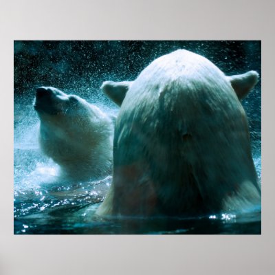 Bears In The Arctic Night Posters by Sherlockdonatello