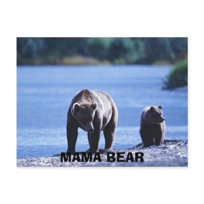 bears, MAMA BEAR Post Card by adeolagbadamosi