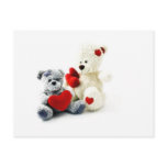 Bears Post Card