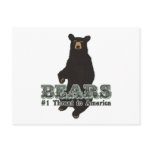 Bears