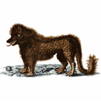 Beast of Gévaudan Photo Sculpture