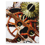 Beaten Up Clock Gears flyers