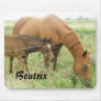 Beatrix Mouse Mats