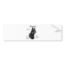 Beauceron History Design