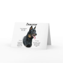 Beauceron History Design