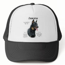 Beauceron History Design