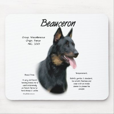 Beauceron History Design by GreyWolfCreation