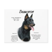 Beauceron History Design