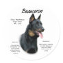 Beauceron History Design