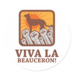 Beauceron