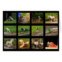 Beaumont Wildlife Greeting Card