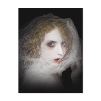 Beauties Post Card by Lryiu_