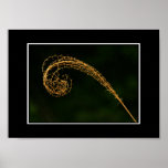 Beautiful abstract close-up poster! (with border)