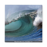 Beautiful afternoon, Hawaiian curl Refrigerator Magnets