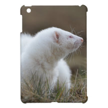 Beautiful Albino Ferret iPad Mini Cover