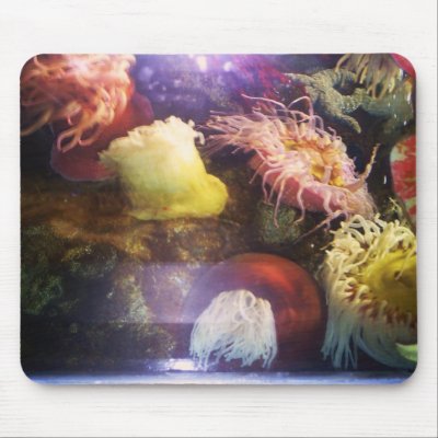 Beautiful and colourful soft coral mousepad by full230