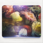 Beautiful and colourful soft coral mousepad