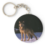 beautiful animals of the wild keychains