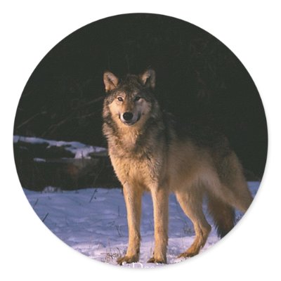 beautiful animals of the wild round sticker by ParisDesigns