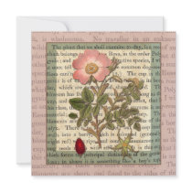 Beautiful Antique Rose Garden Party Vintage