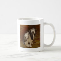 Beautiful Baby Lop Eared Rabbit/Kit Mug