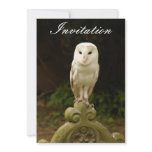 Beautiful Barn Owl Invitation