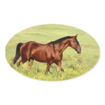 Beautiful Bay Horse Oval Sticker