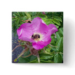 Beautiful Bee Button