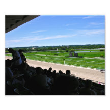 Beautiful Belmont Park Photo Art