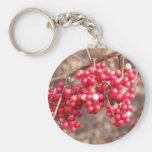 Beautiful Berries Key Chains