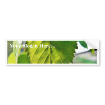 Beautiful Birch Leaves Bumper Sticker