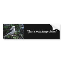 Beautiful Bird bumper stickers