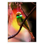 Beautiful Bird on a Bough 1 Cards