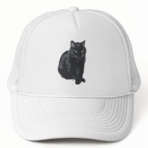 Beautiful Black Cat