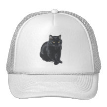 Beautiful Black Cat Hat
