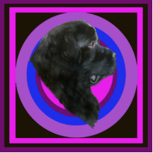 Beautiful Black Newfoundland Profile Photo Cutouts