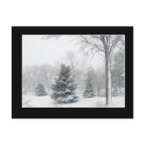 Beautiful Blizzard Postcard - Customised