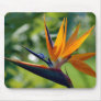 Beautiful Blooms Mouse Mat