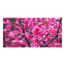 Beautiful Blossoming Sakura Flowers Custom Photo Card