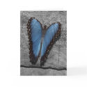 Beautiful Blue Butterfly cards