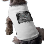 Beautiful Blue Eyed Kitty Dog T Shirt