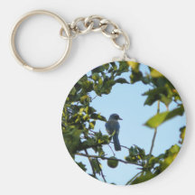Beautiful Blue Jay Bird Key Chains