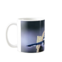 Beautiful Blue Jay Mugs
