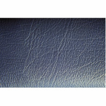 Beautiful Blue Leather Photo Sculptures
