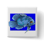 Beautiful Blue Tropical Oscar Fish