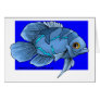 Beautiful Blue Tropical Oscar Fish
