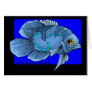 Beautiful Blue Tropical Oscar Fish